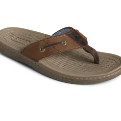 Men Sperry Men's Baitfish Leather Flip Flop