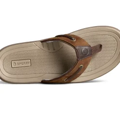 Men Sperry Men's Baitfish Leather Flip Flop