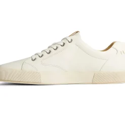 Men Sperry Men's Gold Cup™ Striper LLT Sneaker