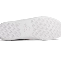 Men Sperry Men's SeaCycled&trade; Striper II CVO Twill Sneaker