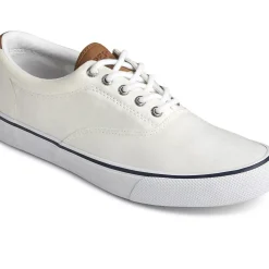 Men Sperry Men's Striper II CVO Sneaker