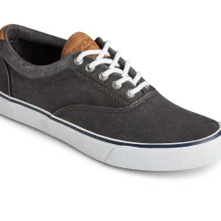 Men Sperry Men's Striper II CVO Sneaker