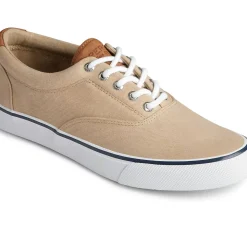 Men Sperry Men's Striper II CVO Sneaker
