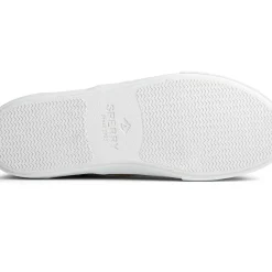Men Sperry Men's Striper II CVO Sneaker