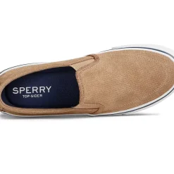 Men Sperry Men's Striper II Twin Gore Perforated Slip On Sneaker