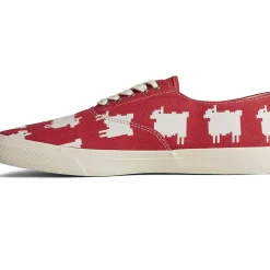 Men/Women Sperry Unisex x Warm & Wonderful Cloud CVO Sneaker